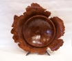 SalmonBurl