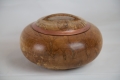 SpaltedMapleCopper
