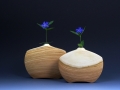 Apricot Vases