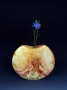 Box Elder Vase
