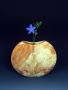 Box Elder Vase