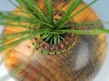 Woven: Ponderosa Pine Hollow Form